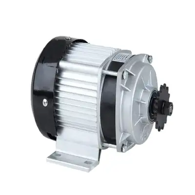 550W 800W 1000W 48V 60V Brushless Motor